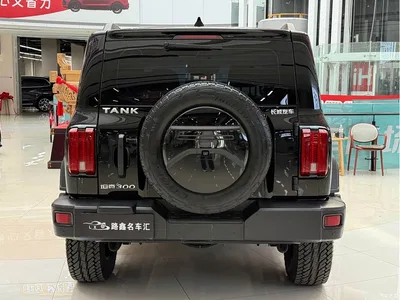 2023 Tank 300 Off-Road Edition 2.0T Challenger, фото 4, лот 10345106