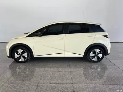 2023 Byd Dolphin, фото 3, лот 10243937