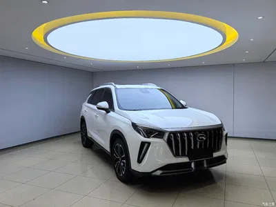 2022 GAC Trumpchi Trumpchi GS4 PLUS 270T Automatic Starry Sky Edition, фото 3, лот 10418473