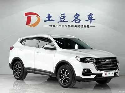 2021 Haval H6 National Trend Edition 1.5T Automatic Urban Edition, фото 3, лот 10299157