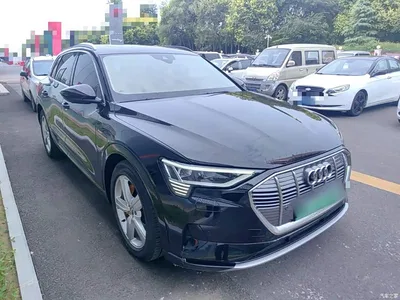 2019 Audi e-tron (Import) 55 quattro Fashion, фото 4, лот 10474576