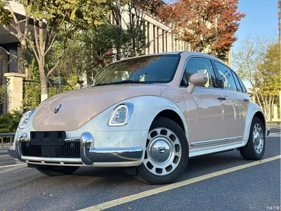 2023 Ora Ballet Cat 401km Premium Model, фото 1, лот 10330855