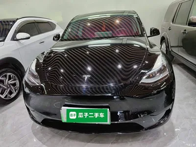 2022 Tesla Model Y Rear-Wheel Drive Version, фото 3, лот 10763737