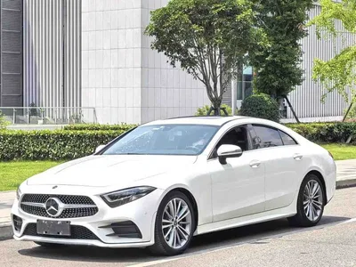 2020 Mercedes-Benz CLS 300 Dynamic, фото 1, лот 10300086