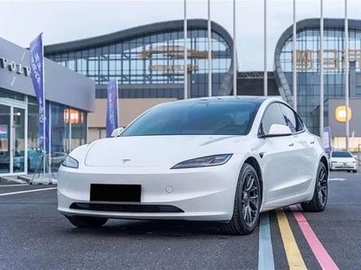 2025 Tesla Model 3 Long Range All-Wheel Drive, фото 1, лот 10955945