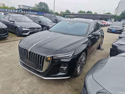 2023 Hongqi H5 2.0T Auto Smart Connect Flag Enjoy, фото 1, лот 10433974