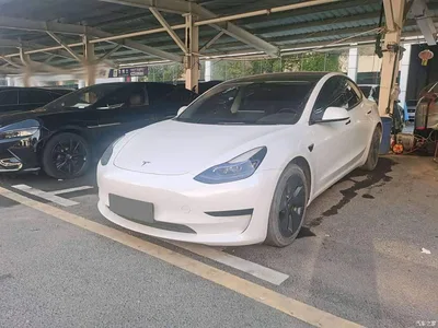 2021 Tesla Model 3 Standard Range Rear-Wheel Drive Upgrade 3D6, фото 1, лот 10366601