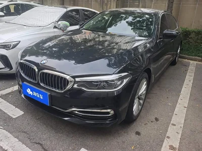 2020 BMW 5 Series 530Li Leading M Sport Package, фото 1, лот 11204780