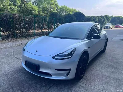 2020 Tesla Model 3 Standard Range Rear-Wheel Drive Upgrade, фото 1, лот 10360057