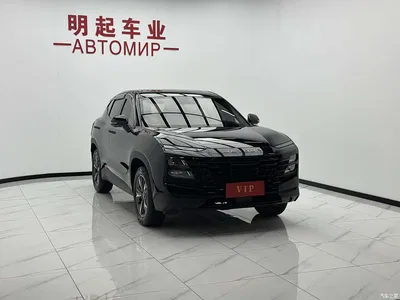 2023 Jetour Dasheng 1.5T DCT Starlight PRO, фото 3, лот 10827065