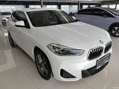 2021 BMW X2 Facelift sDrive25i M Sport Package, фото 4, лот 10475584