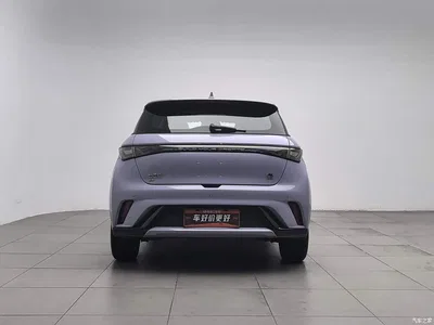 2023 BYD Dolphin 420km Fashion Edition, фото 4, лот 10250184