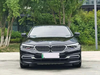 2020 BMW 5 Series New Energy 530Le Luxury Package, фото 2, лот 10816060
