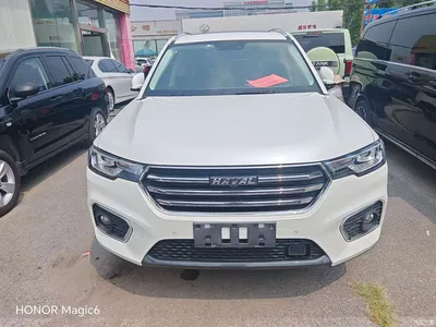 2019 Haval H7 2.0T Zhixiang Edition China V, фото 2, лот 10281751