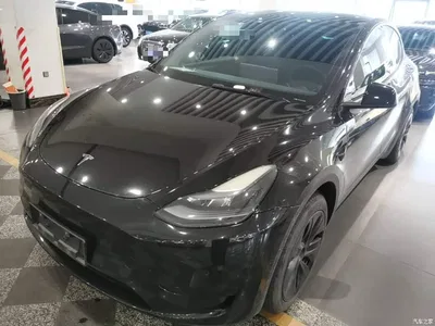 2023 Tesla Model Y Rear-Wheel Drive Edition, фото 2, лот 11242136