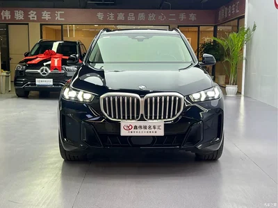 2025 BMW X5 Model xDrive 30Li Exclusive M Sport Blackout Package, фото 3, лот 10237894
