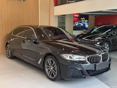 2022 BMW 5 Series New Energy Model Second Facelift 535Le M Sport Package, фото 3, лот 10474137