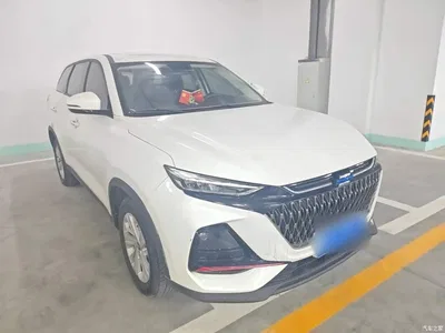 2022 Changan Oshan X7 PLUS 1.5T Blue Whale Edition Auto Luxury, фото 4, лот 10408182