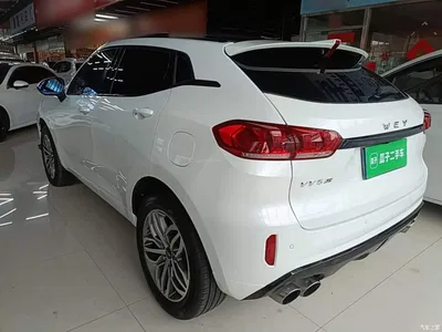 2017 WEY VV5 2.0T Super Luxury Model, фото 4, лот 10452240