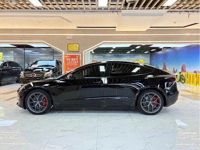 2022 Tesla Model 3 Performance High-Performance AWD, фото 2, лот 11095599