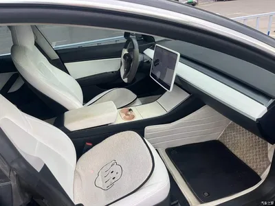 2020 Tesla Model 3 Facelift Standard Range RWD Upgrade, фото 3, лот 10479178