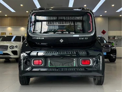 2023 Baojun KiWi EV Smart Luxury Edition LFP, фото 4, лот 10456013