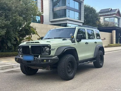 2021 Tank 300 2.0T Wind Forest Iron Cavalry, фото 2, лот 11585338