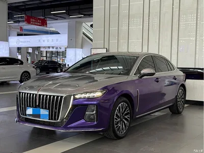 2025 Hongqi H5 2.0T Automatic Flag Celebration 500,000 Units Anniversary Edition, фото 3, лот 10288280