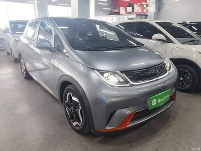 2021 BYD Dolphin Model 405km Fashion Edition, фото 4, лот 10259599