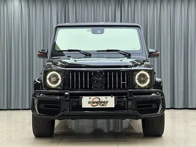 2019 Mercedes-Benz G-Class AMG Facelift AMG G 63 Pioneer Special Edition, фото 2, лот 10299782