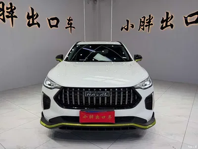 2022 Haval Chitu Power Edition 1.5T Purple Copper Rabbit, фото 3, лот 10300184