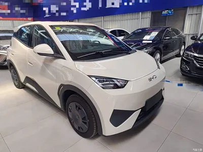 2025 BYD Seagull Smart Drive Edition 305km Vitality Version, фото 4, лот 10259207