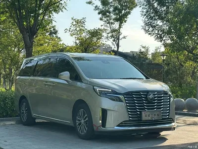 2023 Buick GL8 ES Landmaster Exclusive Harmony Edition, фото 3, лот 10476362