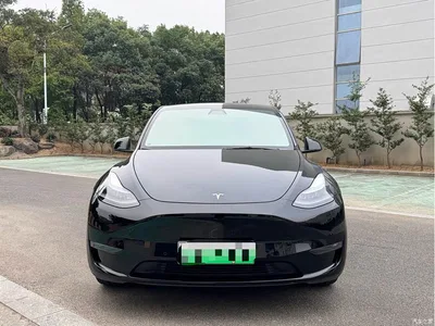 2021 Tesla Model Y Standard Range Rear-Wheel Drive, фото 2, лот 11191881