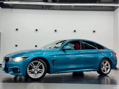 2017 BMW 4 Series 425i Gran Coupe Leading M Sport Package, фото 1, лот 10239016