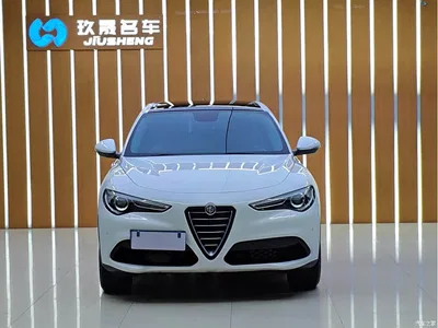 2017 Alfa Romeo Stelvio 2.0T 200HP Elite, фото 3, лот 10239835