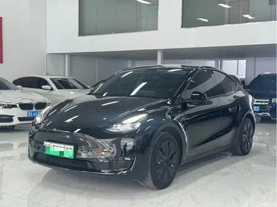 2022 Tesla Model Y Rear-Wheel Drive Version, фото 1, лот 11074448