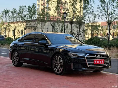 2019 Audi A6L 40 TFSI Luxury Dynamic, фото 2, лот 11398063