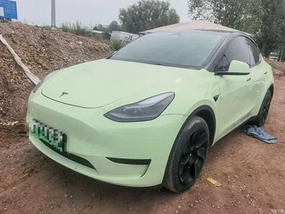 2023 Tesla Model Y Rear-Wheel Drive Edition, фото 1, лот 11221852