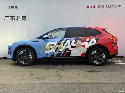 2025 Hongqi Tiangong 06 660 AWD, фото 3, лот 11225335