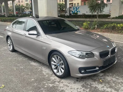 2017 BMW 5 Series 525Li Leading Edition, фото 3, лот 11018155