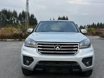 2020 Great Wall Fengjun 5 Model 2.0T Diesel 4WD Elite Double Cab China VI GW4D20M, фото 3, лот 11172314