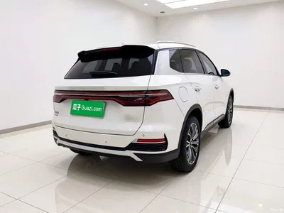 2022 BYD Song Pro New Energy DM-i 110km Flagship Pro, фото 4, лот 10273860