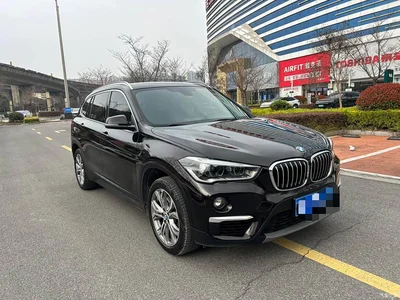 2019 BMW X1 sDrive20Li Leading Model, фото 3, лот 10237064
