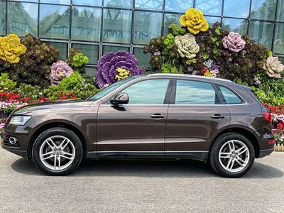 2017 Audi Q5 40 TFSI Technology, фото 3, лот 10233020