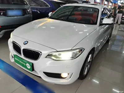 2014 BMW 2 Series (Import) 220i Leading, фото 2, лот 10471481