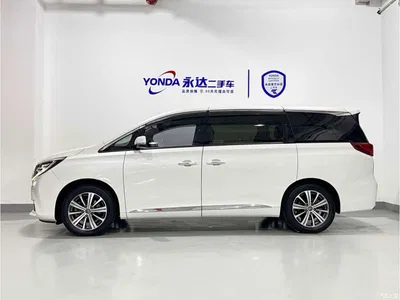 2018 GAC Trumpchi Trumpchi M8 320T Premium Edition, фото 4, лот 10888761