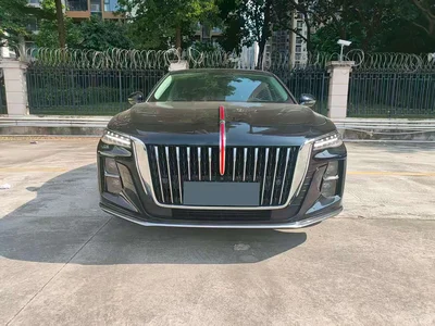 2023 Hongqi H5 2.0T Auto Smart Connect Flag Comfort, фото 2, лот 10771245