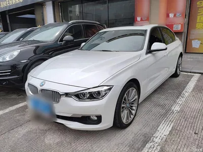 2019 BMW 3 Series 320Li Fashion Type, фото 1, лот 10457543