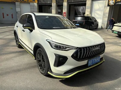 2021 Haval Chitu Boost Edition 1.5T Platinum Rabbit, фото 3, лот 10516302